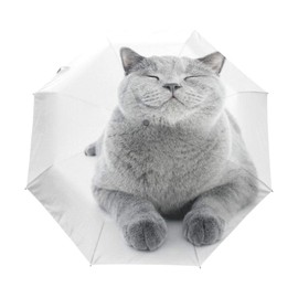 FORMRS Automatic Umbrella, British Shorthair Cat Umbrella Compact Lightweight, Waterproof Windproof for Sun Rain Travel (Cat)