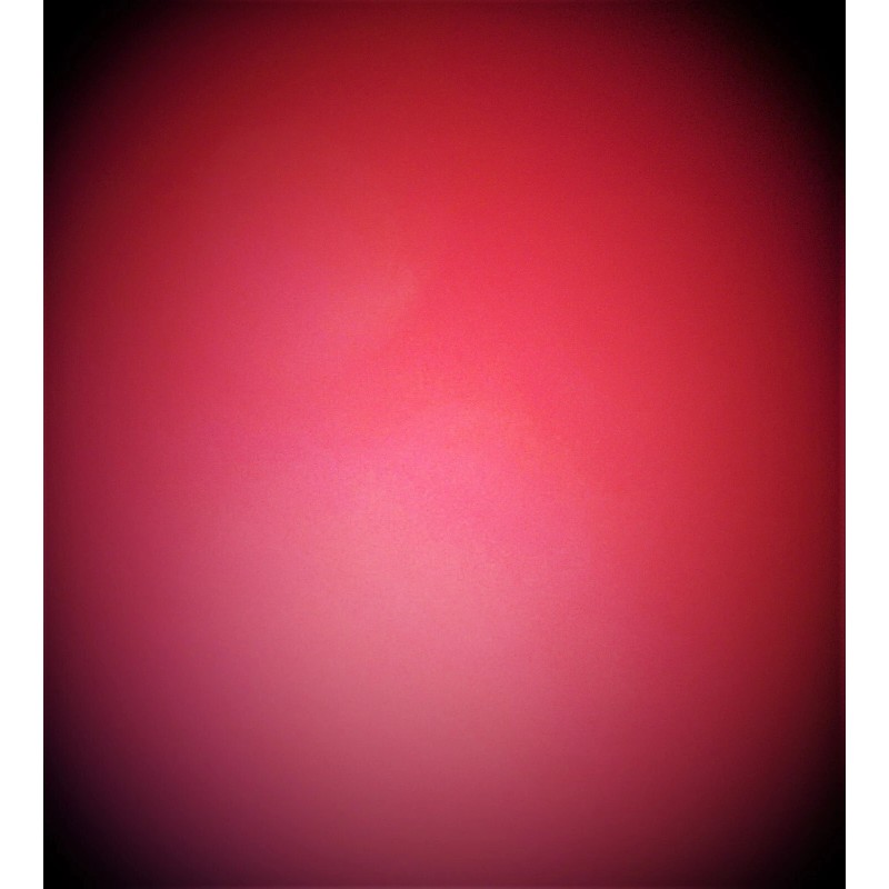 ENFORCER Black and White Motorcycle Title Rank Tag Embroidered Iron