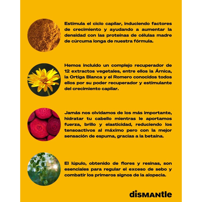 disMANtle Kopfduo für Männer – Shampoo und Haarserum mit Stammzellen