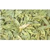 Senna Leaves (4oz) | Hoja Sen | Dried Herbal Tea