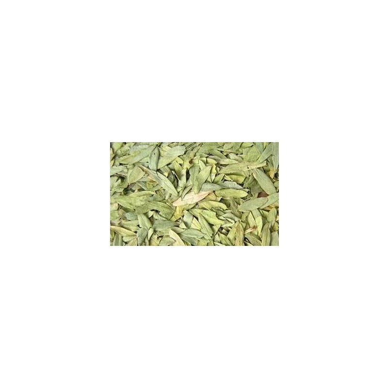 Senna Leaves (4oz) | Hoja Sen | Dried Herbal Tea
