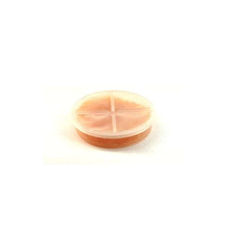 Stay Dry Hearing Aid Dehumidifier - Fish