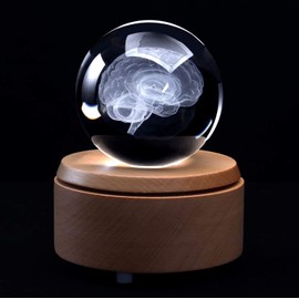 3D Human Brain Anatomical Model Paperweight(Laser Etched) in Crystal Glass Ball Science Gift (Included LED Base)