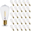 ST38 E17 Base LED String Light Bulbs 0.65W LED Edison