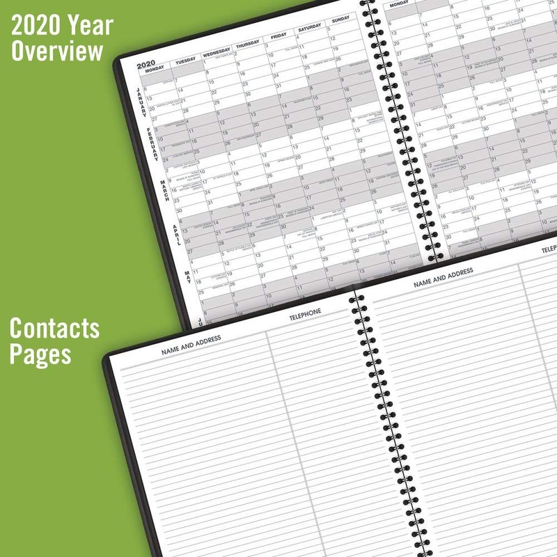 2020 Monthly Planner by AT-A-GLANCE, 9" x 11", Large, 15
