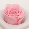 Rose Night Light Romantic Small USB Charging Soft Brightness Decoration