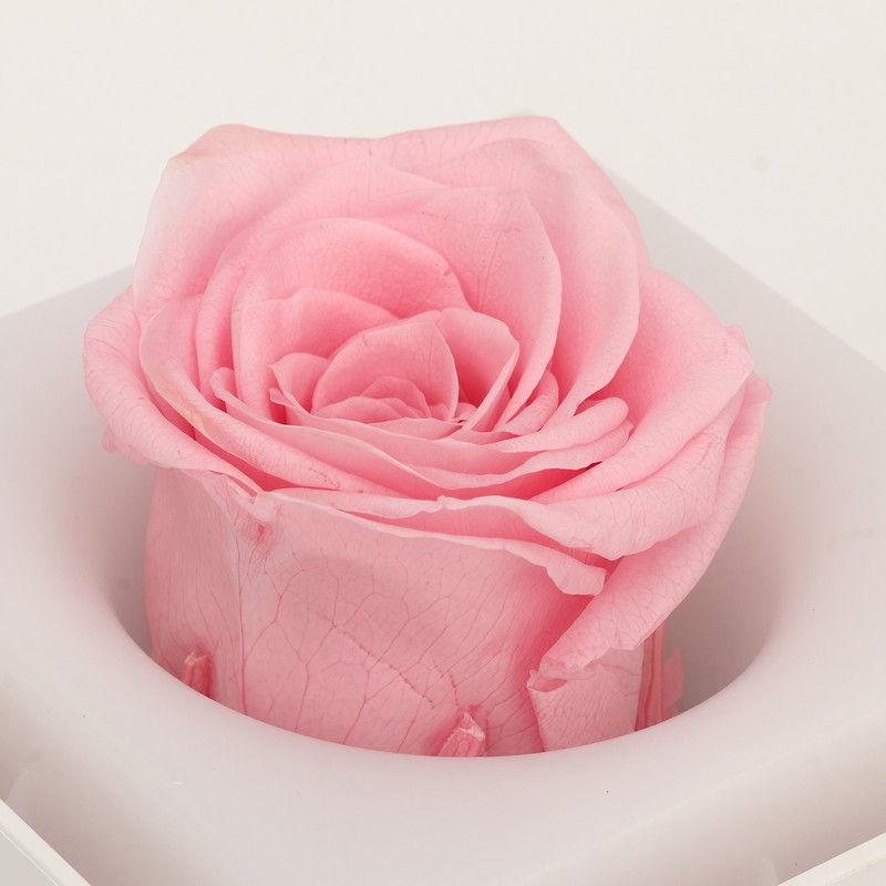 Rose Night Light Romantic Small USB Charging Soft Brightness Decoration