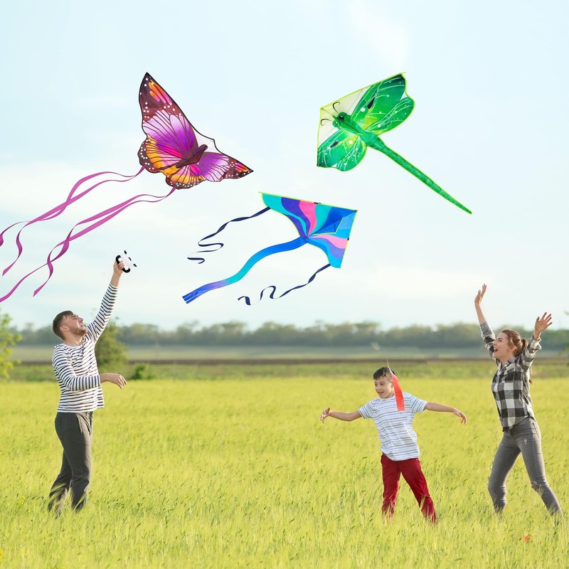 3 Pack Large Kites - Butterfly Delta Dragonfly Kites Easy