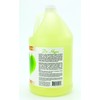 Kelco 50:1 Dr Hypo Shampoo Gallon