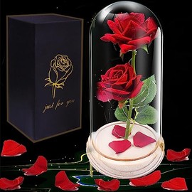 Bella y Bestia, Rosa Bella y Bestia Rosa Eterna Kit de Rosas Artificial LED Luces de Cristal para Mujeres, Día de La Madre, Día de San Valentín, Aniversario de Boda, Navidad (2 Flores)