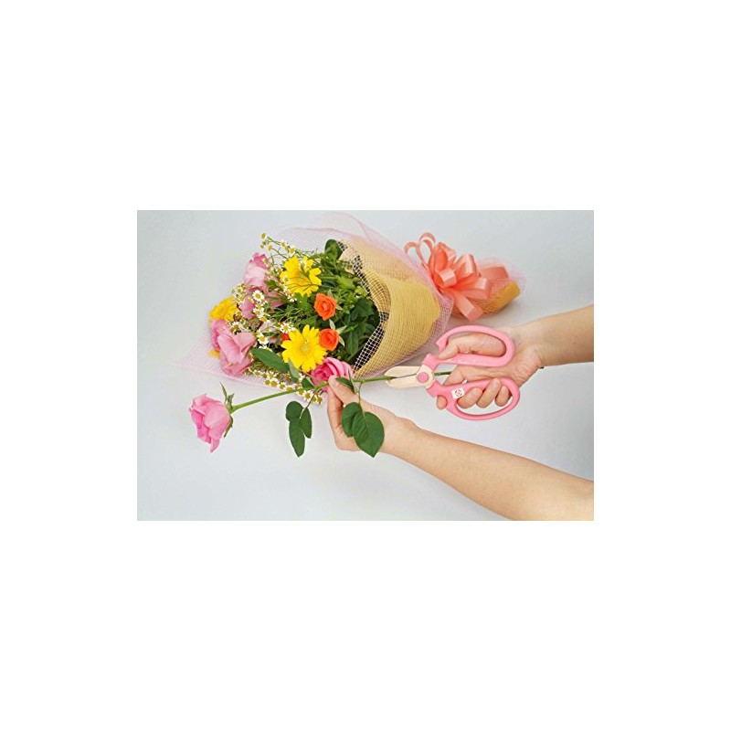 SakaHajime hand creation Kinko type F-170 left-handed