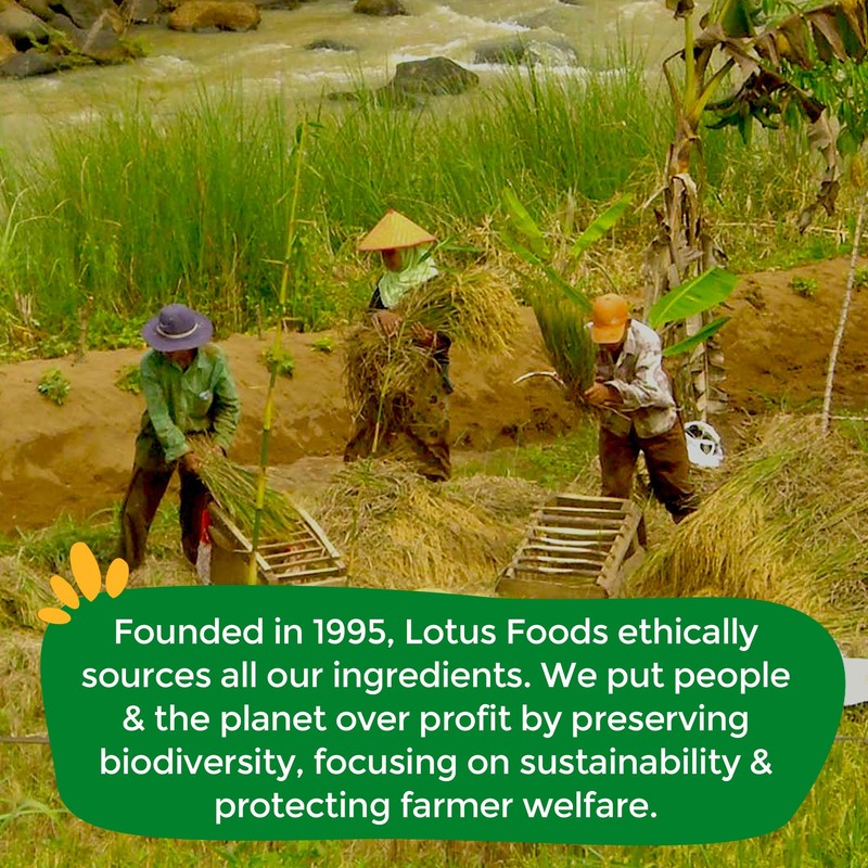 Lotus Foods Organic Traditional Pho Rice Noodles - Gluten Free