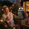 Solar Owl Garden Statue for Outdoor Decor – Glowing Eyes