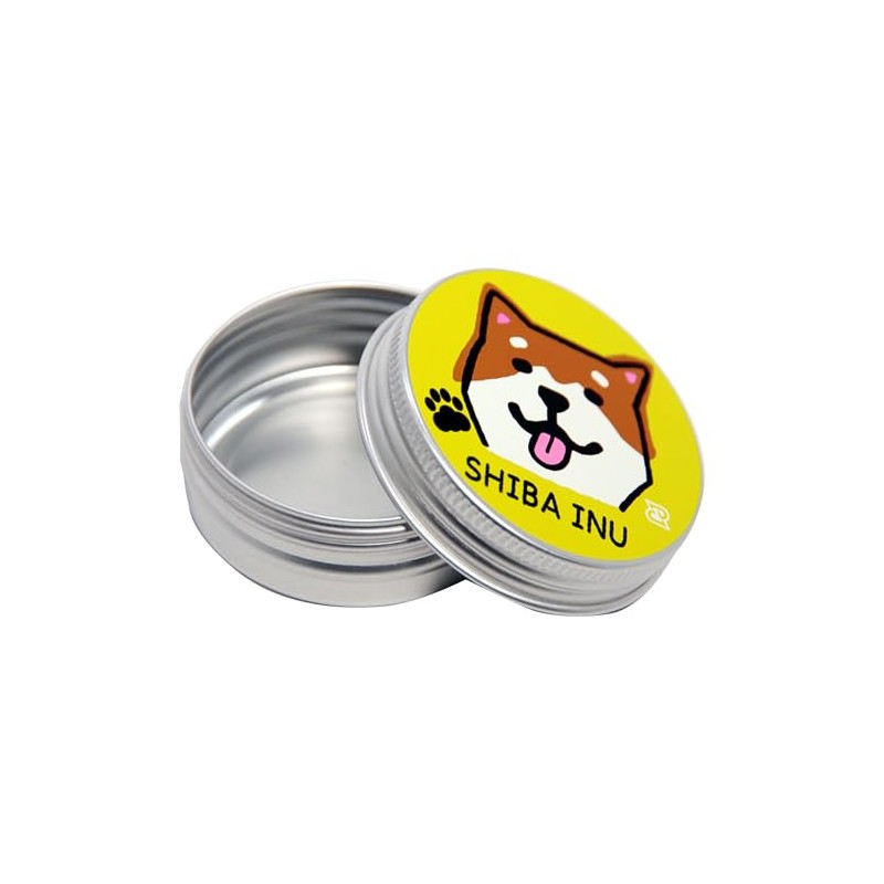 Daiking Corporation Guitar Pick Case, Aluminum Can Case, Silver