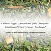 Dream Herbal Tea | Sacred Blossom Farm | 1.9 oz.