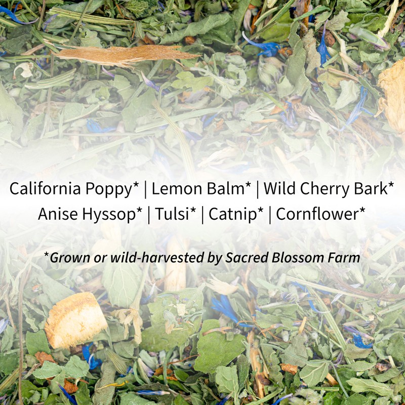 Dream Herbal Tea | Sacred Blossom Farm | 1.9 oz.