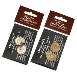 Mini Ammonite Pairs - 20-25 mm