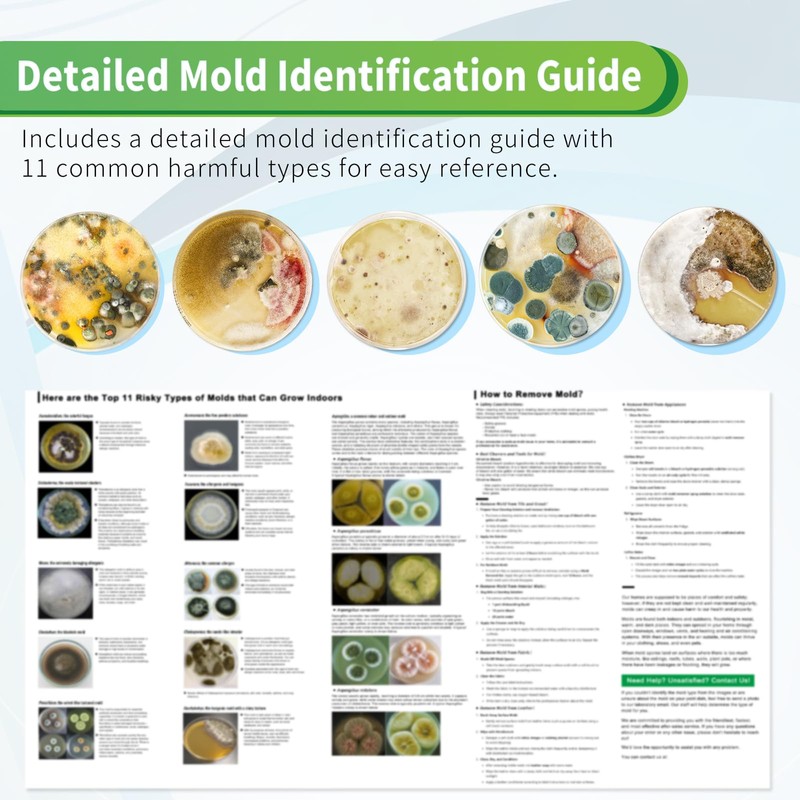 Mold Test Kit For Home - 5 Air Quality Test Kit With Identification ...