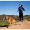 HALTI Active Leash - Award-Winning Bungee Dog Leash, Shock-Absorbing, All-in-One