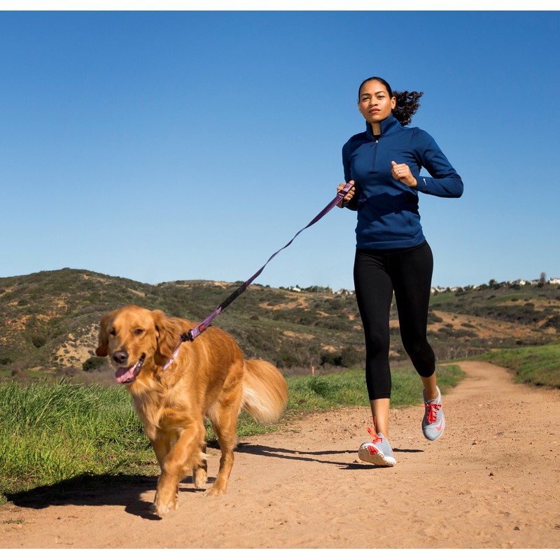 HALTI Active Leash - Award-Winning Bungee Dog Leash, Shock-Absorbing, All-in-One
