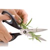 Tescoma Herb Shears Cm 22 Cosmo, Assorted, 27.4 x 9.2
