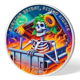 Sunflower Skull 3 Year Sobriety Coin, Dumpster Fire AA Recovery Medallion with Serenity Prayer, Addiction NA AA Chips, Celebrate 3 Years Clean, Sober Token Recovery Gift for Men Women