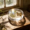 VELATYVIO 4 Pcs Diameter 4 Inches Acrylic cubes for display