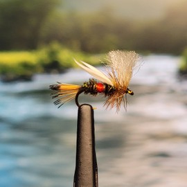 Humpy - Dry Fly - Size #14 - Pack of 3 – Premium Quality Hand Tied - Flyfish for Trout, Bass, Bluegill, Crappie, Grayling, and Other Gamefish – Golden Tippet, Green, white, Gold, Red