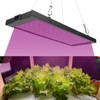13W LED Grow Light Full Spectrum Panel Grow Lamp for