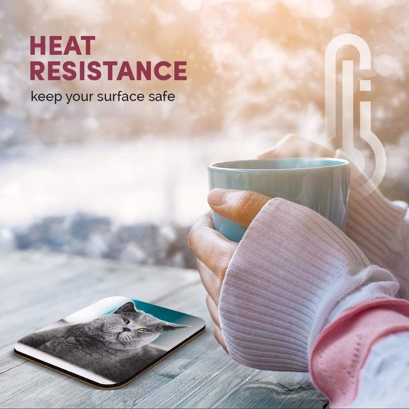 Great Single Coaster Square - Grey British Shorthair Cat Kitten