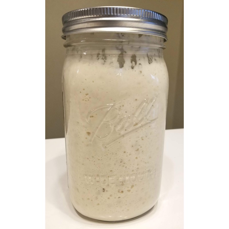 100% Einkorn Sourdough Starter - Dehydrated, Dried Sourdough Starter for