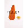 Poseidon Bottarga Grated - Fine Italian Delicacy 1.76 Oz [50g]