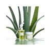 [Kim Jeong-moon Aloe] Cure Phytogreen Ampoule 50ml / [김정문알로에] 큐어