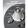 INFOOD 0.8L Gooseneck Electric Kettle, Precise Temperature Control for Pour