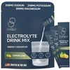 EVOLV Electrolytes Powder Packets – Electrolyte Packets with Palatinose, Sodium