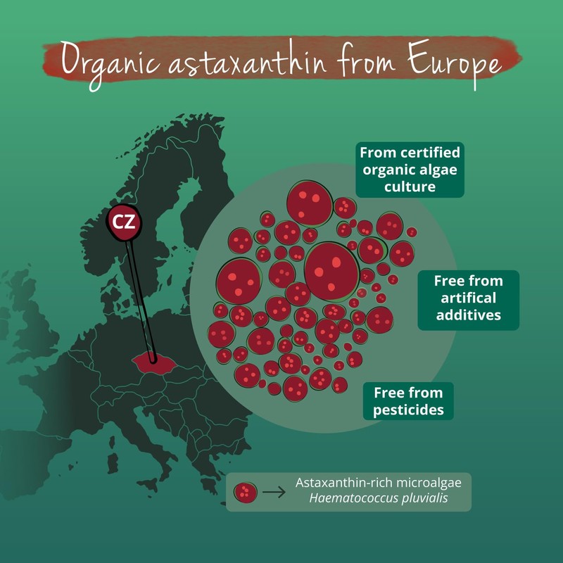 Vegavero Vegavero Organic Astaxanthin 8 mg | Natural Antioxidant Supplements