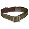Reddy Olive Jacquard Dog Collar, X-Small