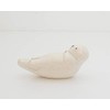 popping animal/sea otter