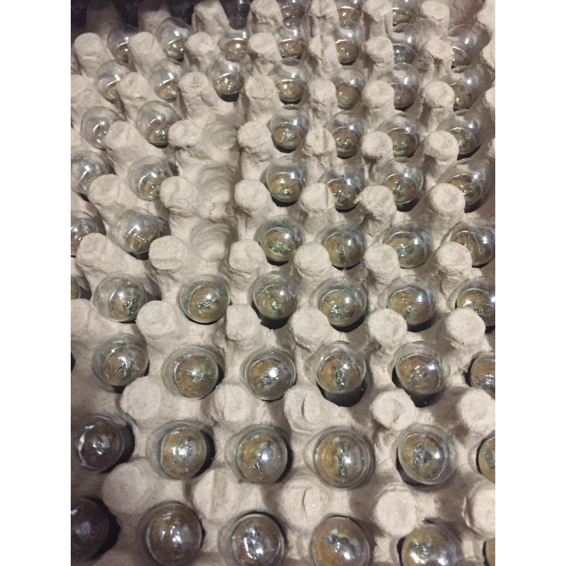 candlepower VW 12 Volt License Light or Rear Tail Light