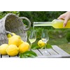 12 Limoncello Labels for Homemade Extracting Lemon Liqueur - Great