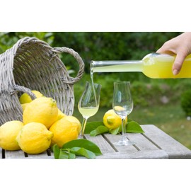12 Limoncello Labels for Homemade Extracting Lemon Liqueur - Great for Gifts - 3"x3" Square Vinyl Sticker