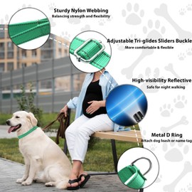 Seyezo Martingale Dog Collar, Slip Martingale Collar for Dogs with No Buckle, Reflective Pet Trainning Collar For Small Medium Large Dog, Adjustable Heavy Duty Nylon No Pull Slip Collar, XS, Turquoise