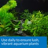 API Co2 Booster Freshwater Aquarium Plant Treatment 16 oz Bottle,