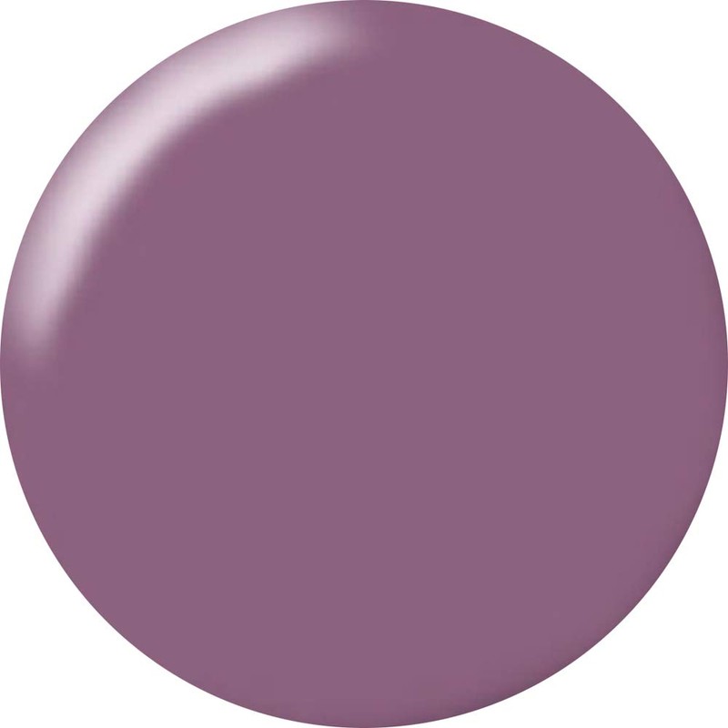 KOKOIST E-72 Color Gel 0.1 oz (2.5 g), Smoke Acai,