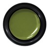 PRE GEL Color EX Khaki Neo 0.1 oz (3 g)
