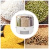 RENFANSHOP 360°Rotating Rice and Grain Dispenser with 6 Compartments -