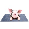 Washable Pet Blanket Winter Warm Thick Dog Throw Blanket Sleeping