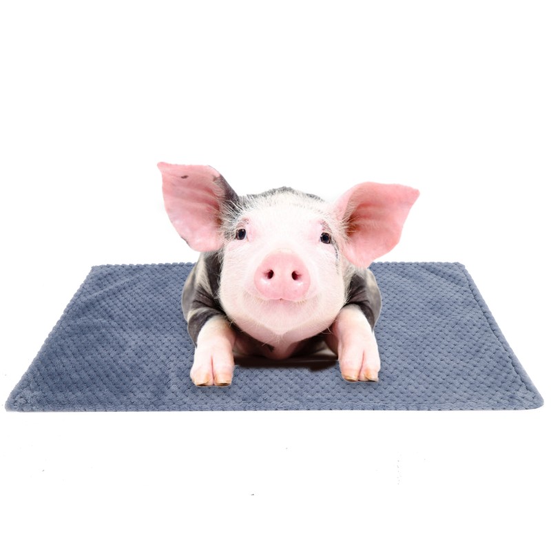 Washable Pet Blanket Winter Warm Thick Dog Throw Blanket Sleeping