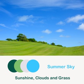 Winssigma Button Earrings, Large Round Acrylic Stud Earrings for Women(Summer Sky Theme)