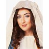 California Costumes Adult Virgin Mary Costume (X-Large)
